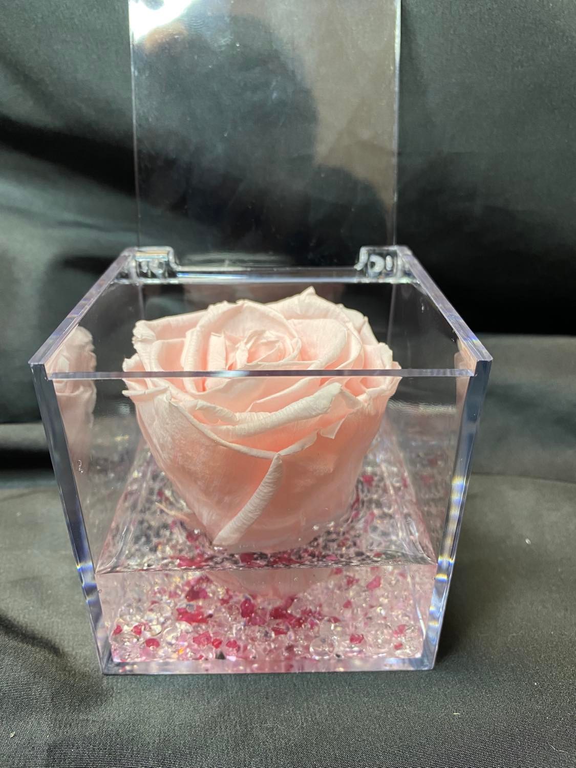 Rosa stabilizzata in plexiglass