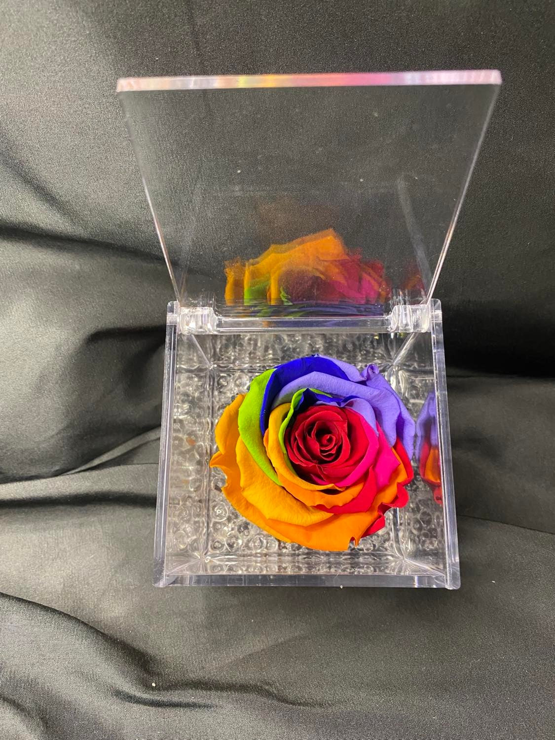 Rosa stabilizzata in plexiglass