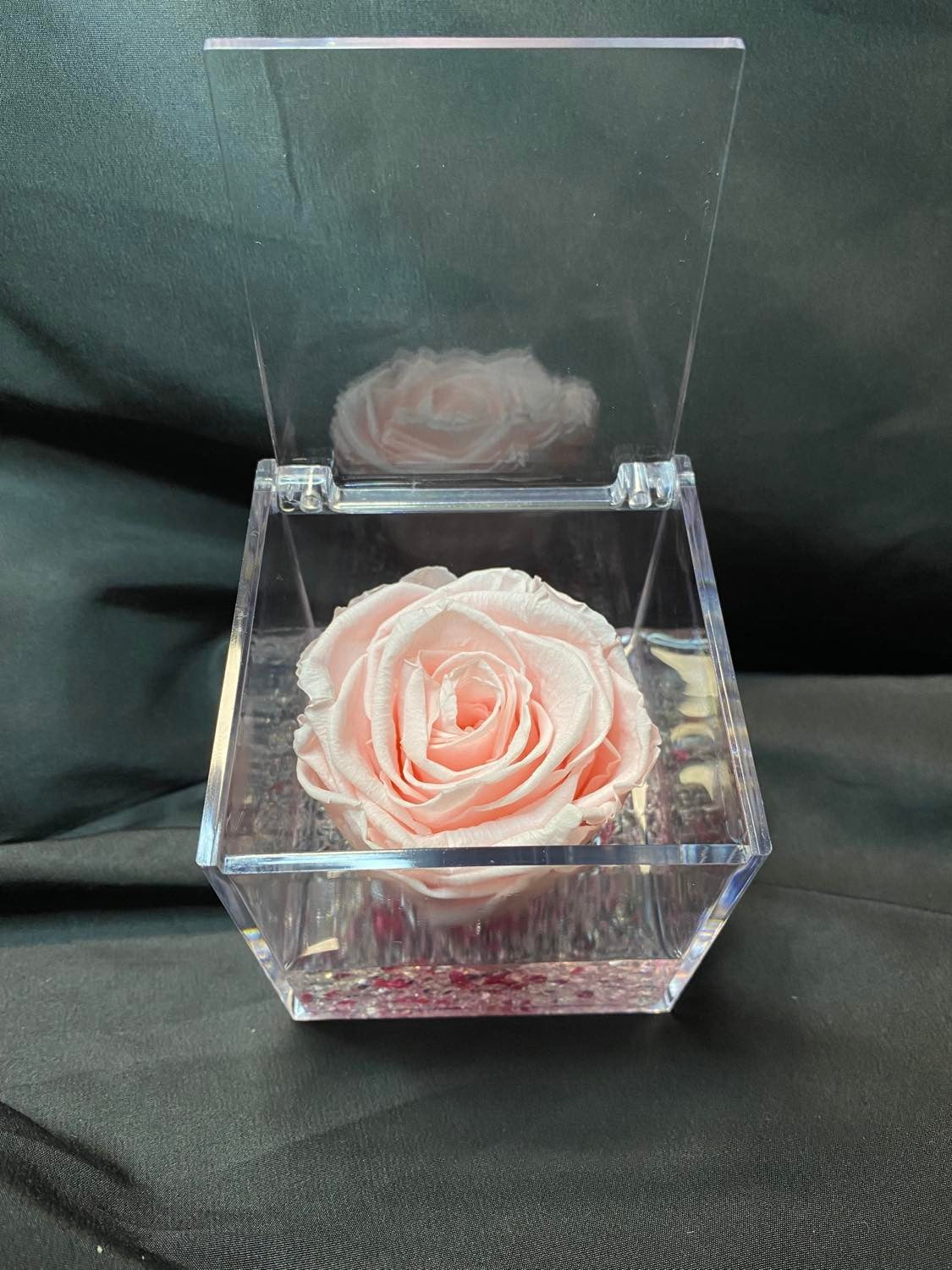 Rosa stabilizzata in plexiglass