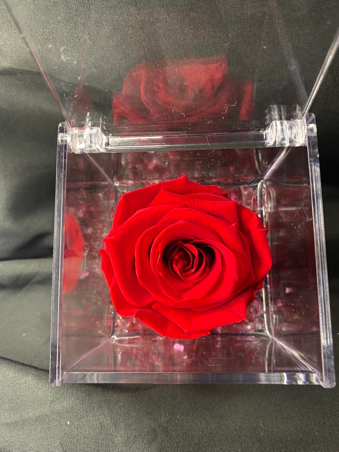 Rosa stabilizzata in plexiglass