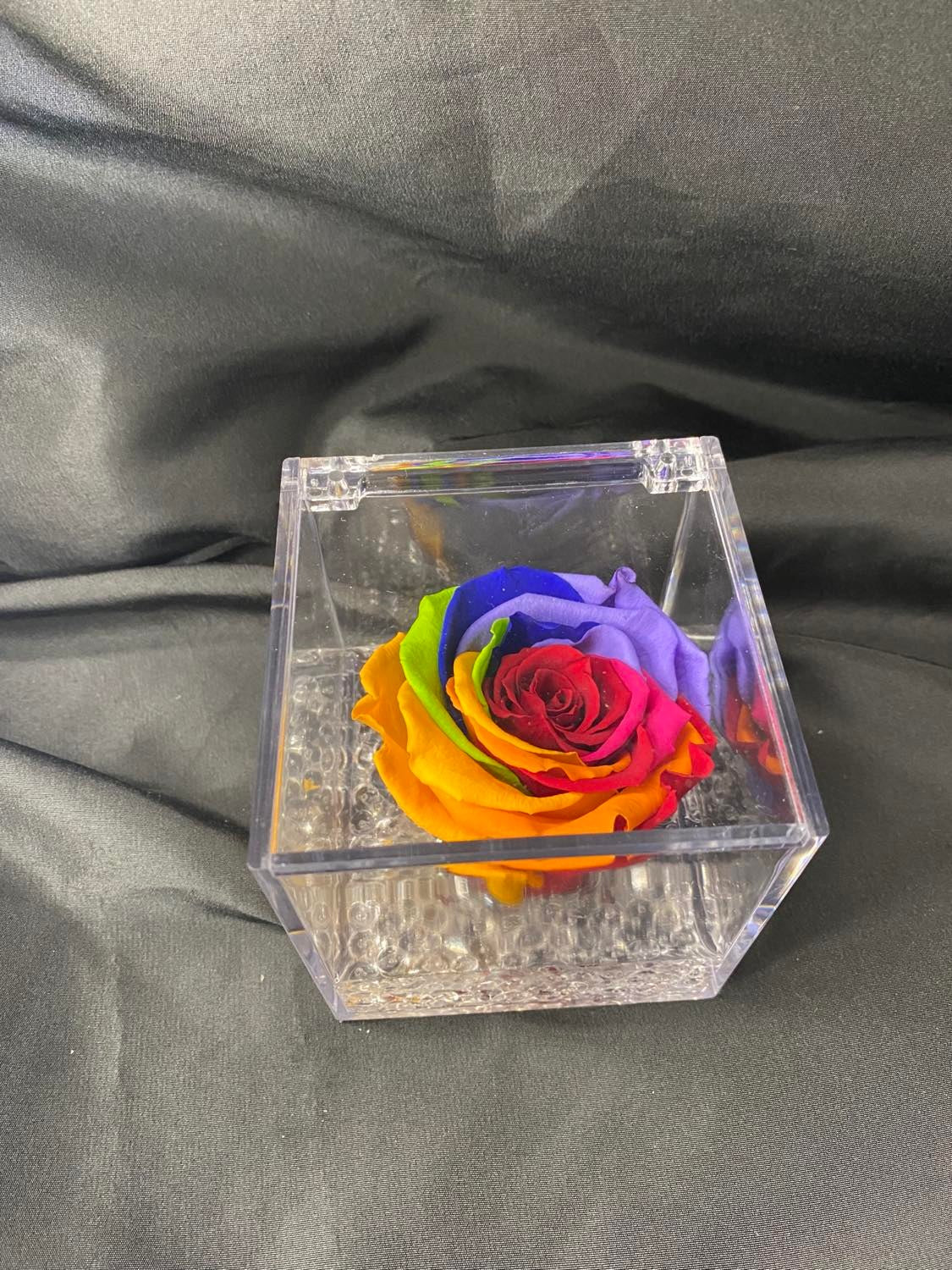 Rosa stabilizzata in plexiglass