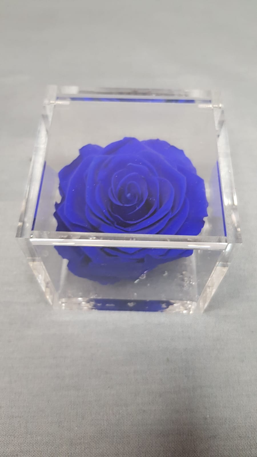 Rosa stabilizzata in plexiglass