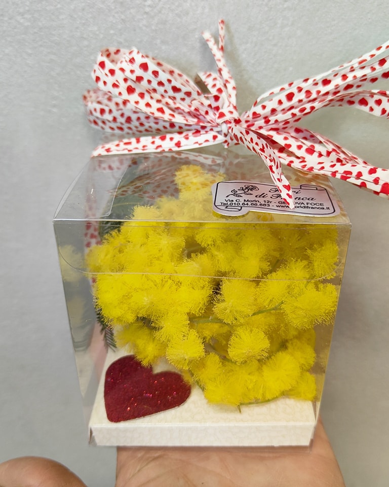 € 6 cad Dolce Sorpresa di Mimosa: Un Pensiero Delicato in Confezione Regalo (min 2 pz)