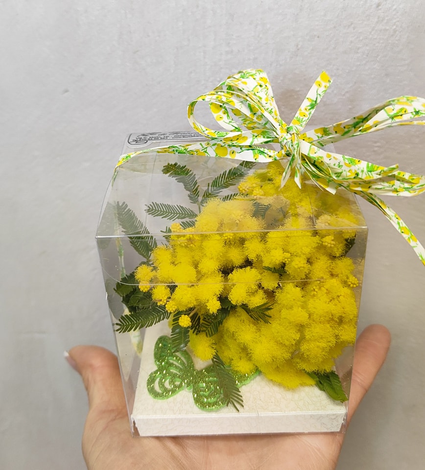 € 6 cad Dolce Sorpresa di Mimosa: Un Pensiero Delicato in Confezione Regalo (min 2 pz)