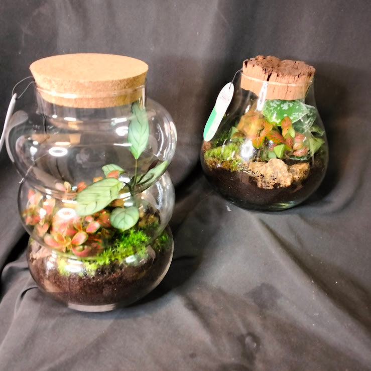 TERRARIUM