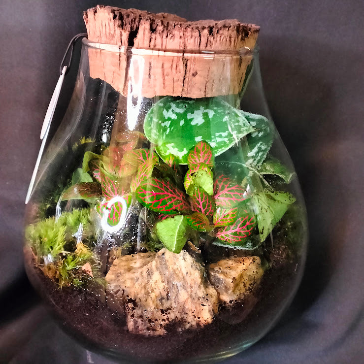 TERRARIUM