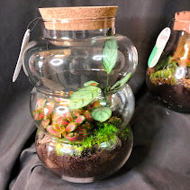 TERRARIUM