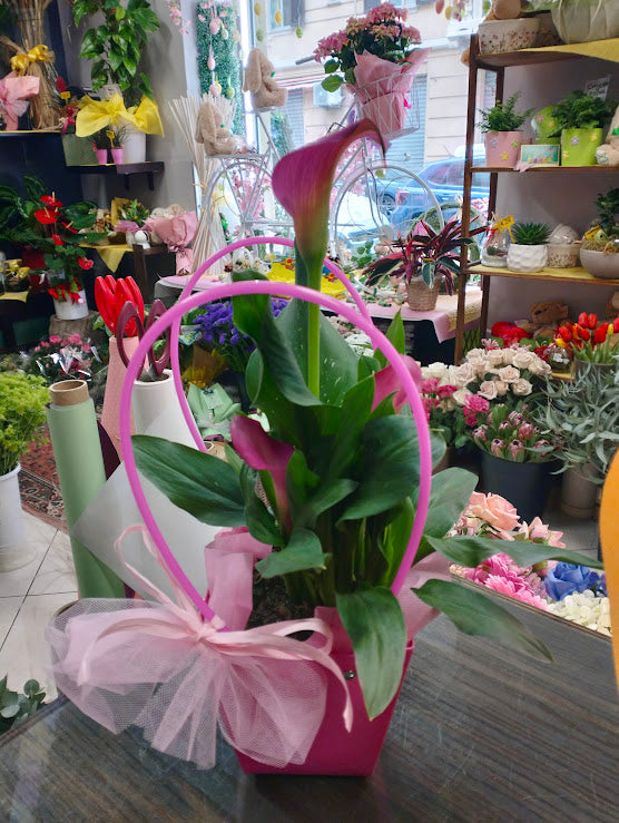 Un Regalo di Natura per la Mamma: Borsine Fiorite con Amore