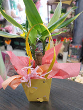 Un Regalo di Natura per la Mamma: Borsine Fiorite con Amore