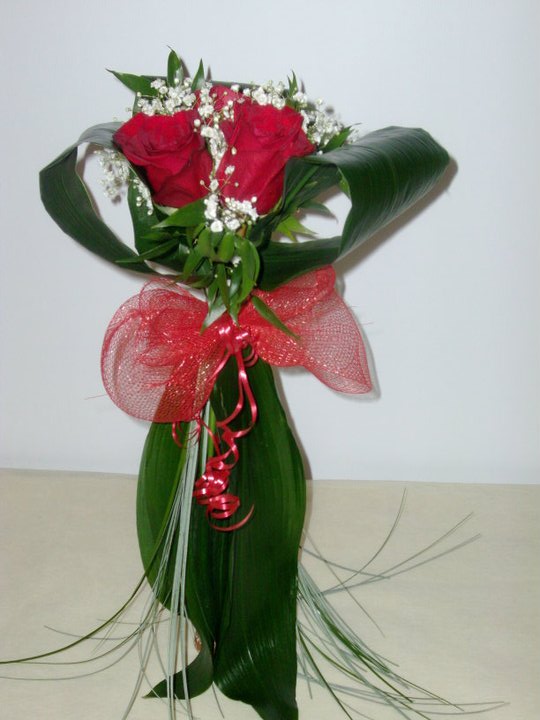 Rose Rosse e Aspidistra